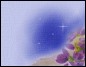 (design) Lissi
