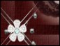 traudel(design)